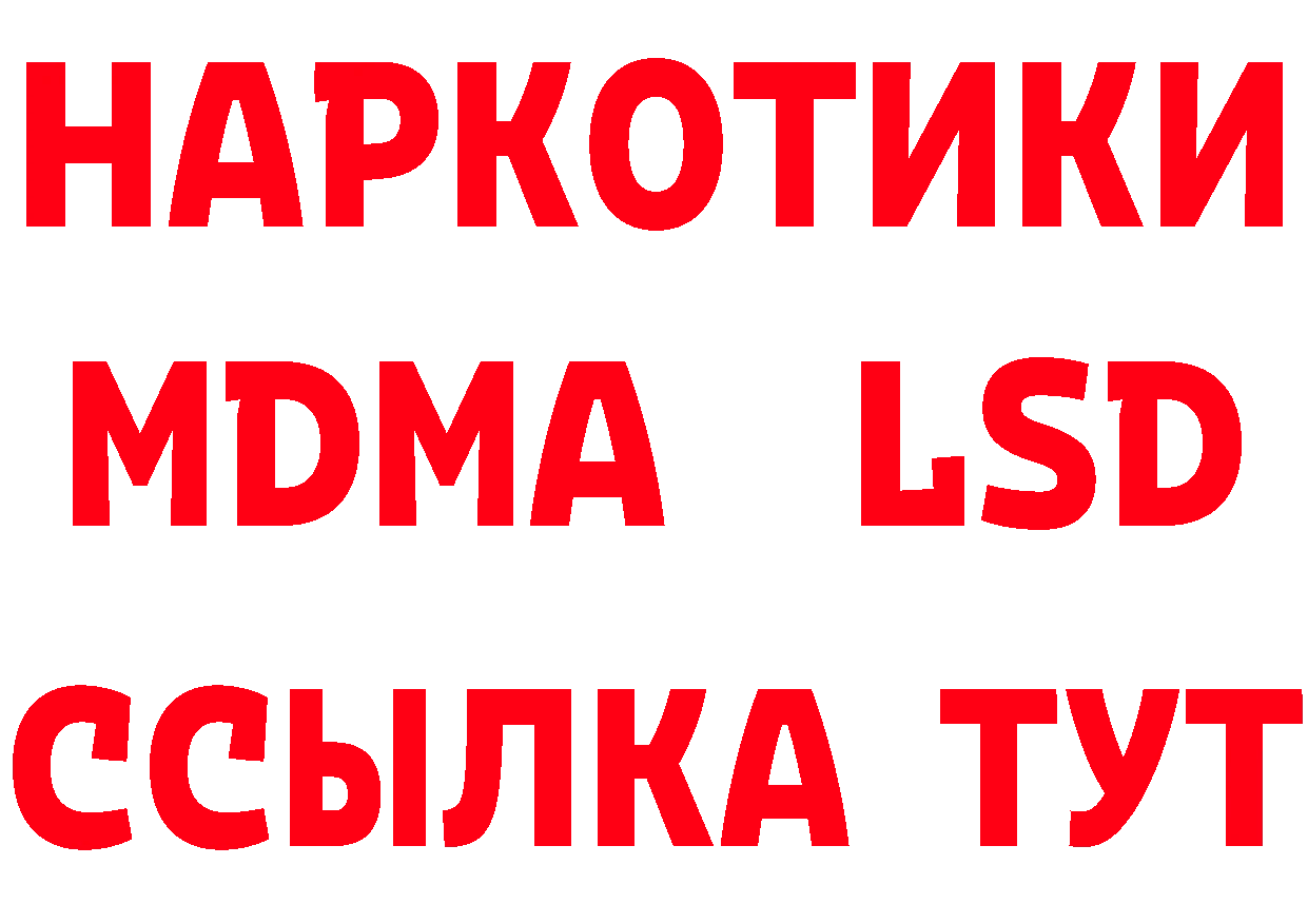 Галлюциногенные грибы Psilocybe tor площадка MEGA Богородицк